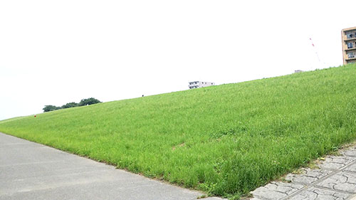 シート席