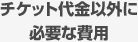 �`�P�b�g����ȊO�ɕK�v�Ȕ�p