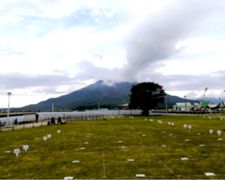 観覧イメージ。地面に1区画ごとの広さを示す目印が置かれている。