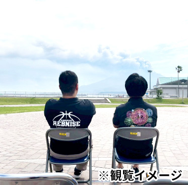 観覧イメージ。地面に1区画ごとの広さを示す目印が置かれている。