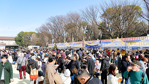 多くの出店と会場を埋め尽くす客