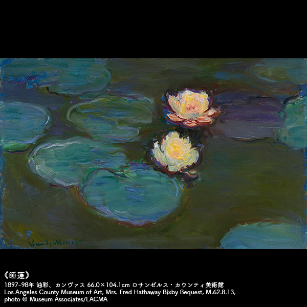 「睡蓮」