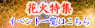 �Q�O�P�O�S���ԉΑ��
