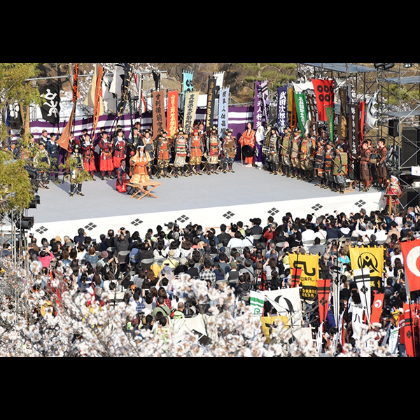 信玄公祭り写真