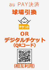au PAYρ@EfW^`Pbg(QRR[h)ݗp