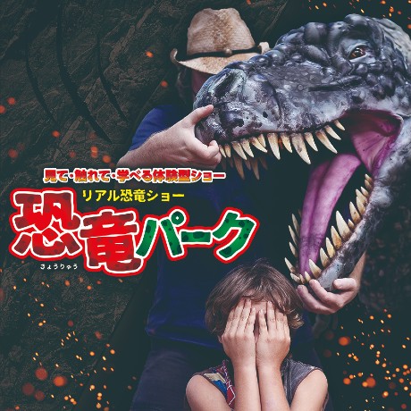 ڍ׉摜