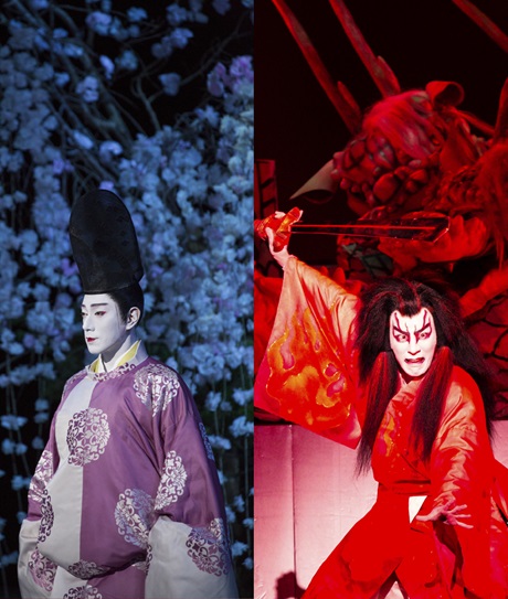 市川團十郎特別公演 チケット情報