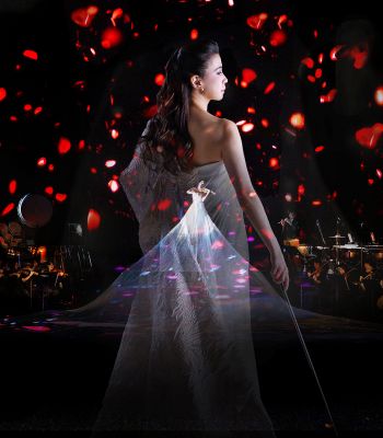 三菱電機プレゼンツ　川井郁子 デビュー２５周年コンサート　チケット情報