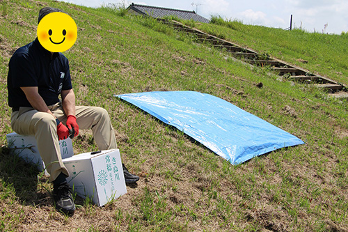 自由席。芝生にブルーシートが敷かれている。