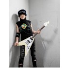 
MICHAEL SCHENKER GROUP