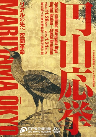 �`�P�b�g�ڍ׉摜