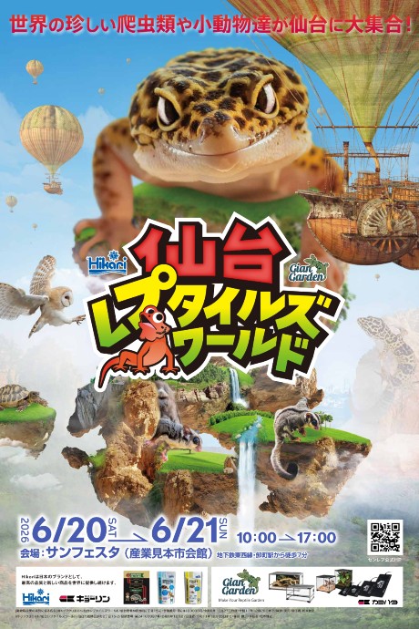 �`�P�b�g�ڍ׉摜