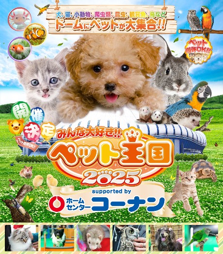 `Pbgڍ׉摜