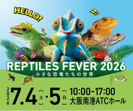 �`�P�b�g�ڍ׉摜