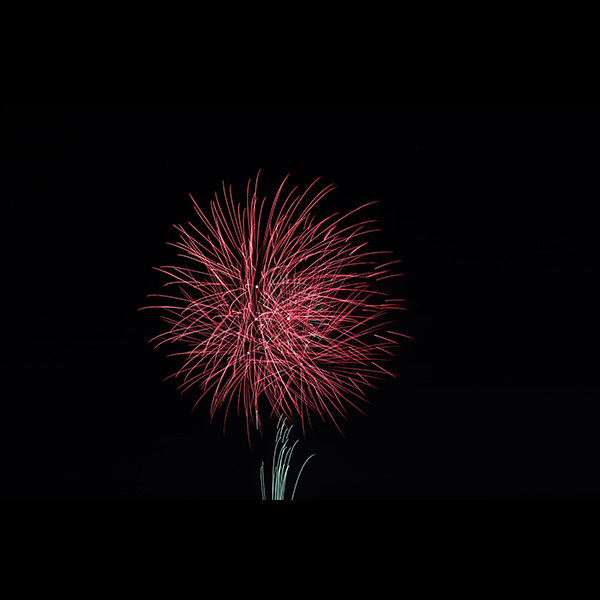 朝霞市民祭り彩夏祭花火写真