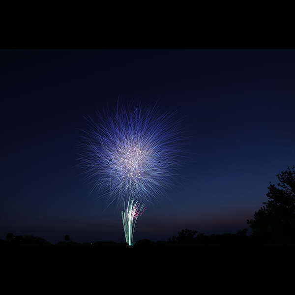 朝霞市民祭り彩夏祭花火写真