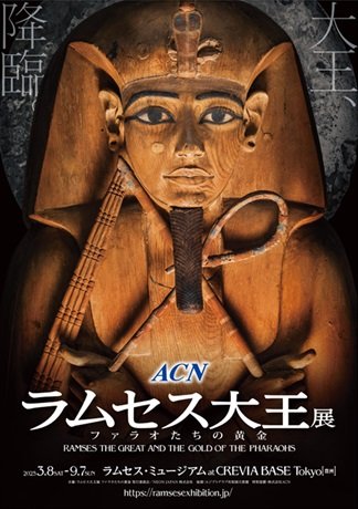 ＡＣＮ　ラムセス大王展　ファラオたちの黄金