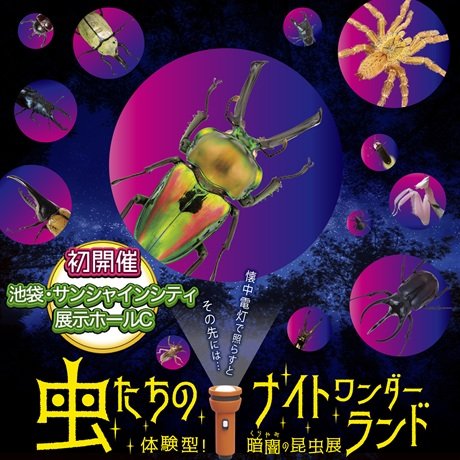 虫たちのナイトワンダーランド　体験型！暗闇の昆虫展